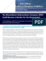 The Mozambican Hydrocarbons Company (ENH) Could Become A Burden For The Government