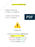 Formazione Del Plurale