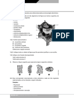 2008-11-13-15-0-55-109__teste_avaliacao_01.pdf