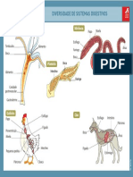 2008 9 29 16 13 8 500 - Transparencia - 05 PDF