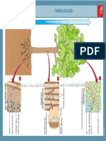 2008-9-29-16-14-13-968__transparencia_07.pdf