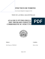 tesi (1)