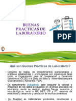 Capacitación en BPL.pdf