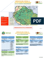 Mapa Ppii Panamazonia 14.05.2020