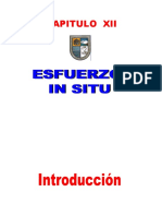 Esfuerzos in situ XIII