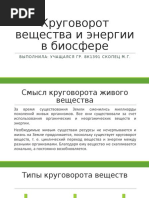 Круговорот вещества и энергии в биосфере. Техносфера, ноосфера