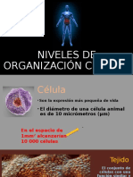 Niveles de Organización Celular