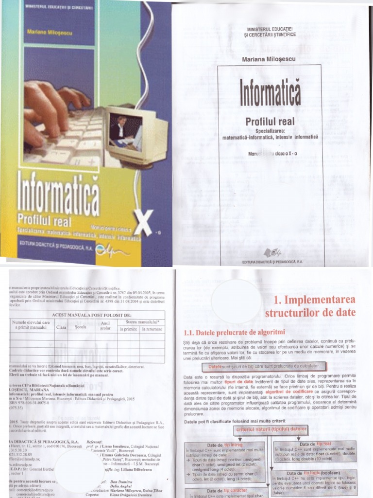 Manual Informatica Clasa A X-A Intensiv Pointeri Si Stringuri | PDF