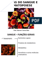 MCD-Celulas_do_Sangue_e_Hematopoese_MED2009_arquivo (1).ppt