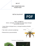 M12-Hemiptera, Homoptera PDF