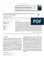 13-The Sperm Pump and Genital Coupling of Panorpodes