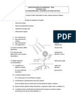 Actividad 1