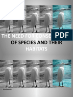 Conservation Species Habitats Group D Report