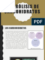 Guía 7 Hidrólisis de Carbohidratos