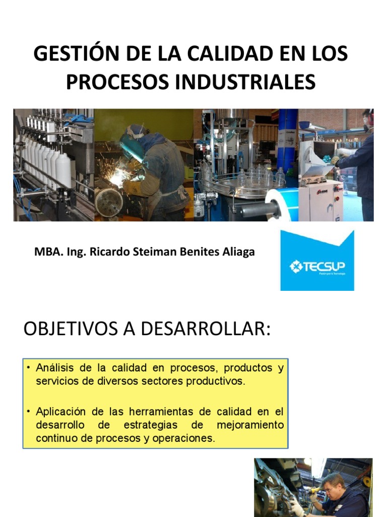 Gestión de Calidad en Procesos Industriales | PDF | Gestión de la ...