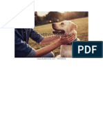 Tres perritosLan3.pdf