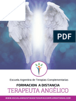 Programa Terapeuta Angélico