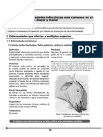 documento enfermedades 1