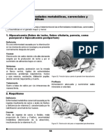 documento enfermedades 3