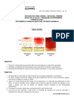 Taller Tto Paciente Quemado...