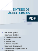 Acidos Grasos