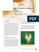 4558 Evolucion de La Genetica Avicola PDF