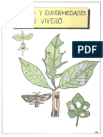 Plagas y Enfermedades en Vivero.pdf