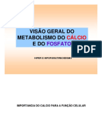 Metabolismo Calcio e Fosfato - FOA Completo PDF