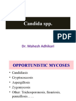 Candida SPP.: Dr. Mahesh Adhikari