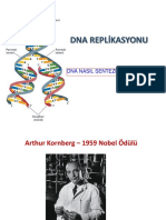 DNA Replikasyonu