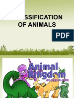 Classification of Animals