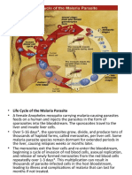 Presentation MALARIA PARASITE