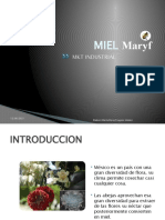 MKT Industrial.- Mercadotecnia de bienes y servicios. Miel Maryf
