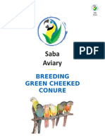 Breeding Green Cheeked Conure