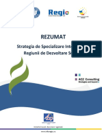 Rezumat_strategie_final.pdf
