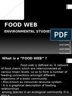 Food Web: Environmental Studies
