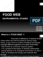 Food Web: Environmental Studies