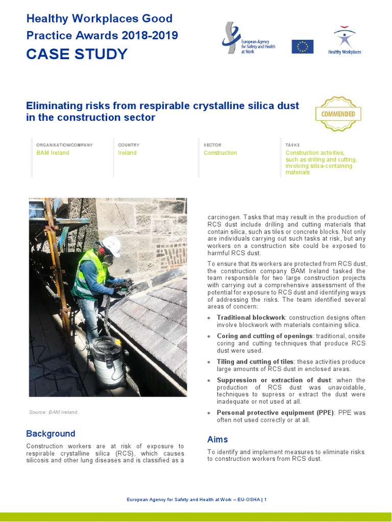 Case Study: Healthy Workplaces Good Practice Awards 2018-2019 | PDF ...