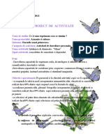 Proiect Intalnirea de Dimineata