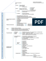 Mapa MC PDF