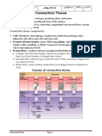 Lab 05 Connective Tissue Proper