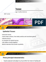 Epithelial Tissue: Human Histology Laboratory MT 636
