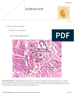 Atlas of Pathology: 2nd Edition