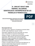 PRÀCTICA hemocultiu (1).pptx