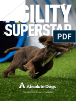 Agility Superstar V6