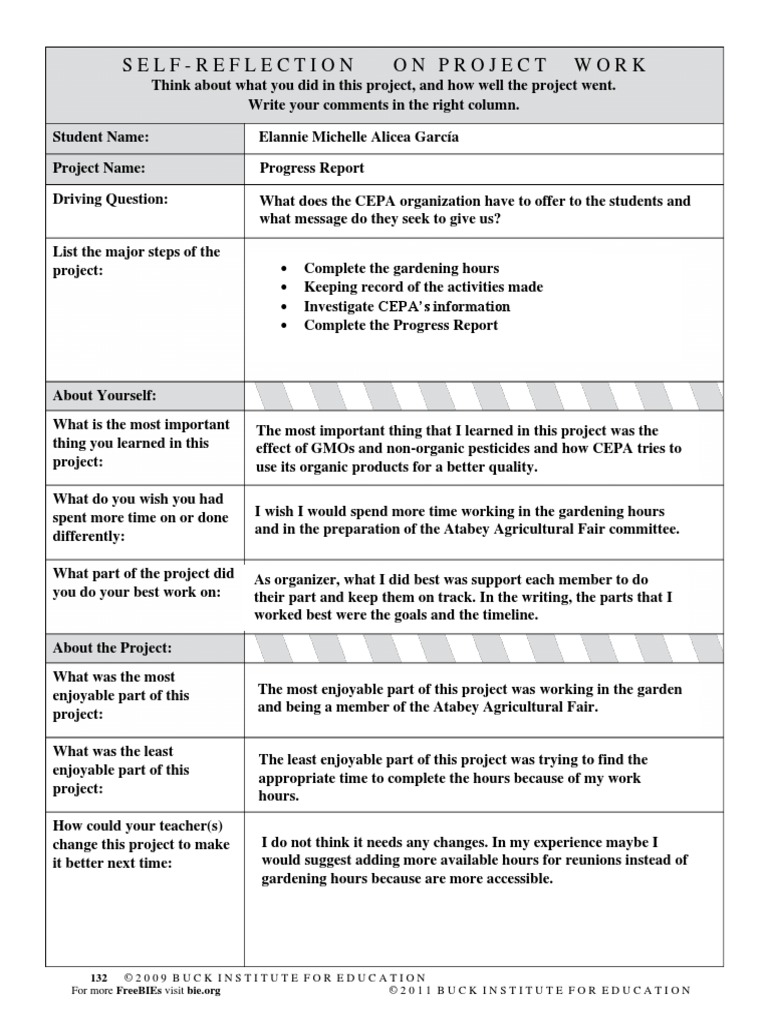 Self Reflection On Project | PDF