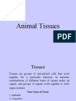 animal tissues final.ppt