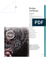 acidos nucleicos.pdf