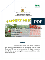 Rapport de ramboise - Copie.docx