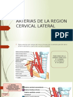 Arterias de La Region Cervical Lateral-3